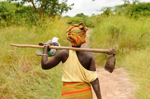 A farmer walking along a path carrying a hoe